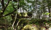 Tocht Stappen Lauroux - Labeil - Forêt de l'Escandorgue - Photo 20