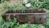 Tour Wandern Günsbach - Gunsbach - Munster - Photo 3