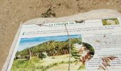 Trail Walking Saint-Cyr-sur-Mer - Dune de sable  - Photo 14