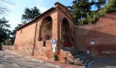 Tocht Te voet Torrita di Siena - Sentiero del Vinsanto - Photo 3