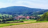 Tour Zu Fuß Berkatal - Premiumweg P2 Frankershäuser Karst - Photo 3