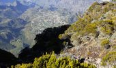 Excursión Senderismo Cilaos - le bloc piton des neiges - Photo 17