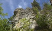 Tocht Te voet Neukirchen bei Sulzbach-Rosenberg - Rundwanderweg No.6 Neukirchen - Photo 2