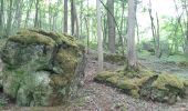 Excursión Senderismo Namur - aiguilles et forêt domaniale de Marche les Dames - Photo 2