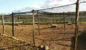 Trail Walking Ventouse - La balade de Ventouse  - Photo 1
