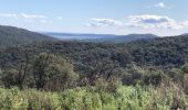 Tour Wandern Sainte-Maxime - Ste Maxime - Chapelle St Donnat - Le Revest - Photo 1