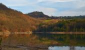 Trail On foot Colli Verdi - IT-28 - Photo 2