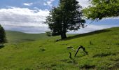 Tour Wandern Omblèze - font d urle - Photo 7