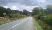 Tour Wandern Vouvant - Vouvant  - Photo 7