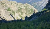 Tour Wandern Vivario - GR20 refuge de Londa - Visavonna - Photo 3