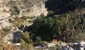 Excursión Senderismo Val-Buëch-Méouge - Gorges de la Méouge retour par côte chaude - Photo 1