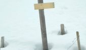 Percorso Sci alpinismo Morzine - Bostan par les Mines d Or  - Photo 2