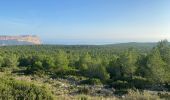 Tocht Stappen Marseille - Calanques d’en vau- port pins - Photo 1