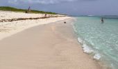 Tocht Stappen Saint-François - Guadeloupe - Pointe des Châteaux (2024) - Photo 20