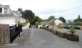 Tocht Te voet Onbekend - Bray Greystones Cliff Walk - Photo 3