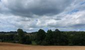 Trail Walking Court-Saint-Étienne - Dans le bois Sainte Catherine... - Photo 10