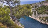Trail Walking Cassis - Calanques de Port Miou, Port Pin et d'En Vau - Photo 5