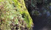 Trail Walking La Roquebrussanne - ROQUEBRUSANNE - Photo 11
