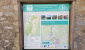 Trail Walking Offemont - Etang des Forges - Forts de la Miotte et de la Justice - Citadèle et Vieille ville de Belfort - Photo 13