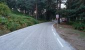 Tocht Te voet Canencia - Senda del Arroyo del Sestil del Maíllo y de la Ladera de Mojonavalle - Photo 1