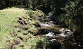 Tocht Stappen Planès - Étang Planes - Photo 2