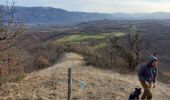 Excursión Senderismo Varacieux - Le Molard d'Essemat- Varacieux - Photo 12