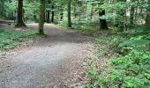 Trail Walking Jalhay -  Boucle de Charneux 17 Km  - Photo 5