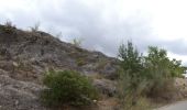 Randonnée A pied Uceda - Senda 2: Remontando el Lozoya hasta la Presa de la Parra - Photo 2