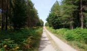 Trail Walking Huismes - Huismes - les Fontaines d'Ozon GR3 - 15.9km 170m 3h35 - 2022 07 17 - Photo 3