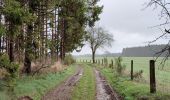 Trail Walking Gouvy - La promenade des bornes frontière - Photo 18