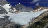 Tour Zu Fuß Kandersteg - Gfelalp - Lötschenpass - Photo 7