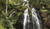 Tour Wandern Le Tholy - La grande cascade du Tendon au départ du Grand Caillou. - Photo 2