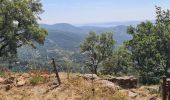 Randonnée Marche La Garde-Freinet - la Garde-Freinet- notre dame de miremer - Photo 5