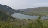 Randonnée Marche Poncin - Le Tour de l'Ain de Poncin à Serrières-sur-Ain et retour - Photo 3