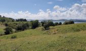 Tour Wandern La Trinité - École de pêche - Bourg Tartane  - Photo 2