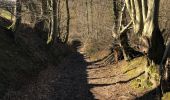 Trail Walking Seraing - Boncelle - la Roche aux faucons - Photo 4