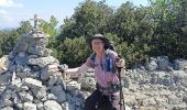 Tour Wandern Signes - Siou-Blanc-La Colle de Féde-Aiguilles de Valbelle - Photo 1