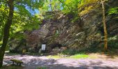 Randonnée Marche Bièvre - Promenade de la Roche Mouselle - Petit-Fays - Photo 17