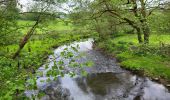 Tocht Stappen Paliseul - Our Opont 090524 - Photo 14