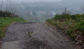 Randonnée Marche Braine-le-Château - Promenade Piedescaus Braine-le-Château - Photo 2