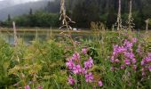 Randonnée Marche Gresse-en-Vercors - Le Grand Veymont - Photo 3