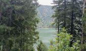 Tocht Elektrische fiets Le Bonhomme - Lac blanc col de la schlucht Six fours lac noir - Photo 10