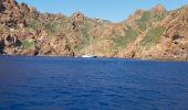 Tocht Motorboot Piana - Grand tour Scandola Piana Girolata - Photo 2