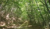 Randonnée Marche Fontarrabie - Jaizkibel - Chemin côtier - Cap du Figuier - Notre-Dame de Guadalupe - Photo 2