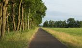 Excursión A pie Lübben (Spreewald) - Rundwanderweg Batzlin - Photo 1