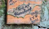 Tour Wandern Wangenburg-Engenthal - Le Hengst - Photo 3