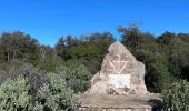 Trail  Cabasse - Cabasse le dolmen - Photo 5