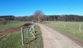 Tour Wandern Aywaille - Ernonheid - De GR en GR - Photo 19