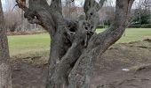 Randonnée Marche Cébazat - PARC PIERRE MONTGROUX DE CEBAZAT - Photo 9