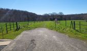 Tour Wandern Wanze - Bas Oha 180325 - Photo 17